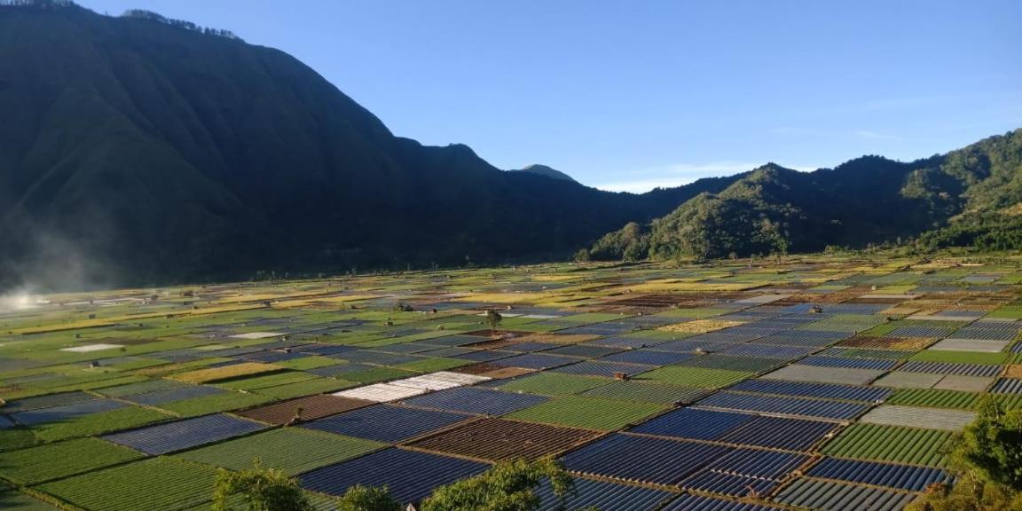 Rinjani Hill Hotel 塞姆博伦拉旺 外观 照片
