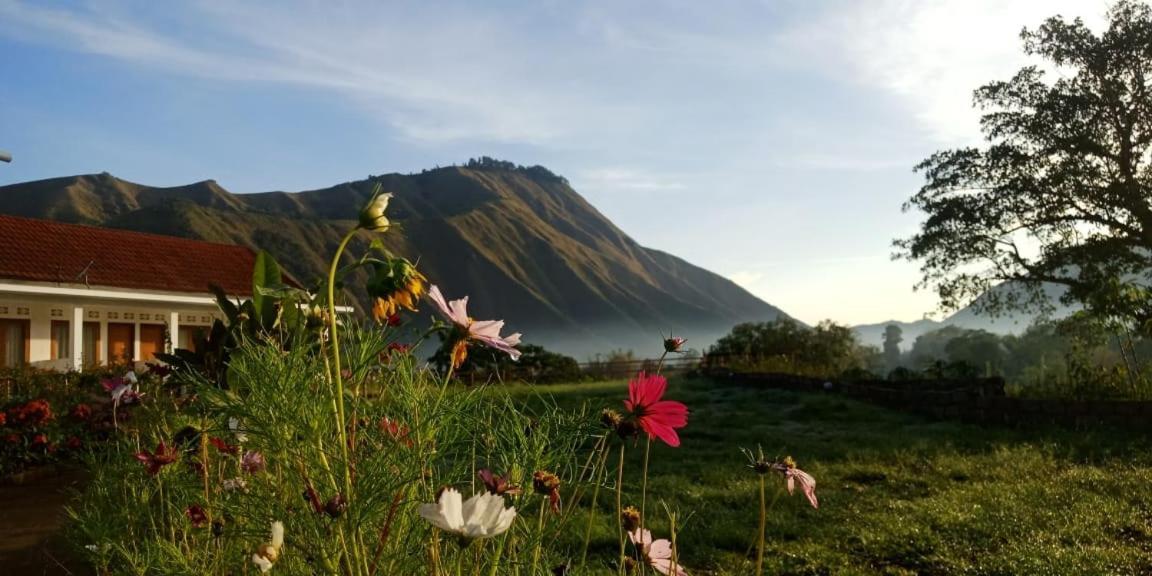 Rinjani Hill Hotel 塞姆博伦拉旺 外观 照片