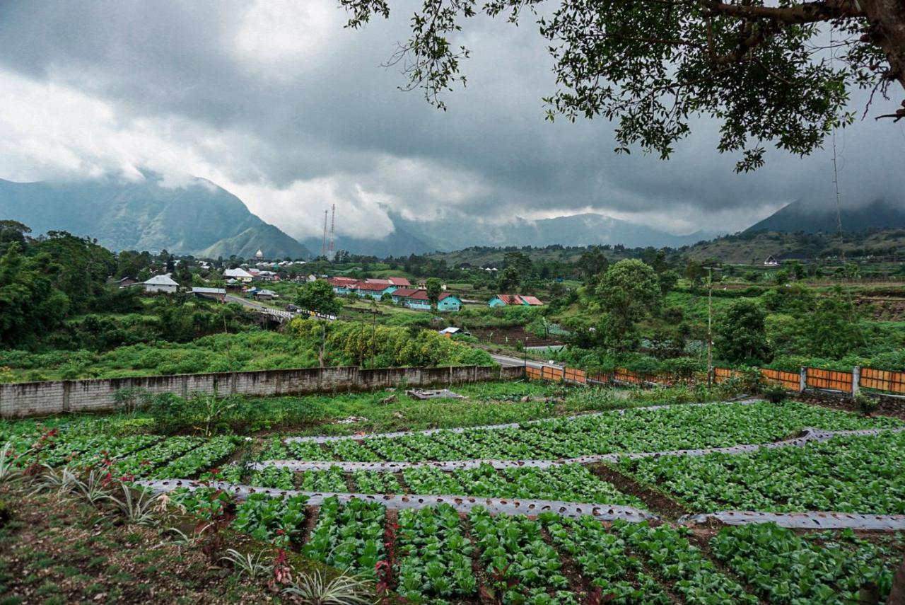 Rinjani Hill Hotel 塞姆博伦拉旺 外观 照片