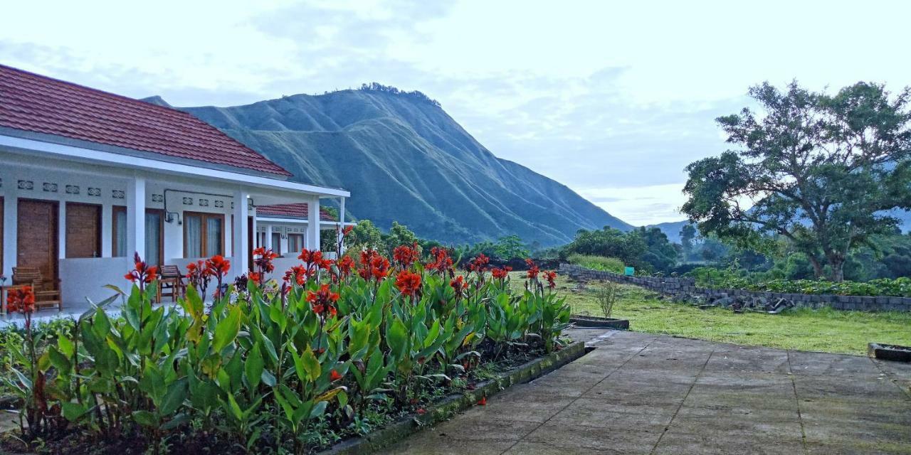 Rinjani Hill Hotel 塞姆博伦拉旺 外观 照片