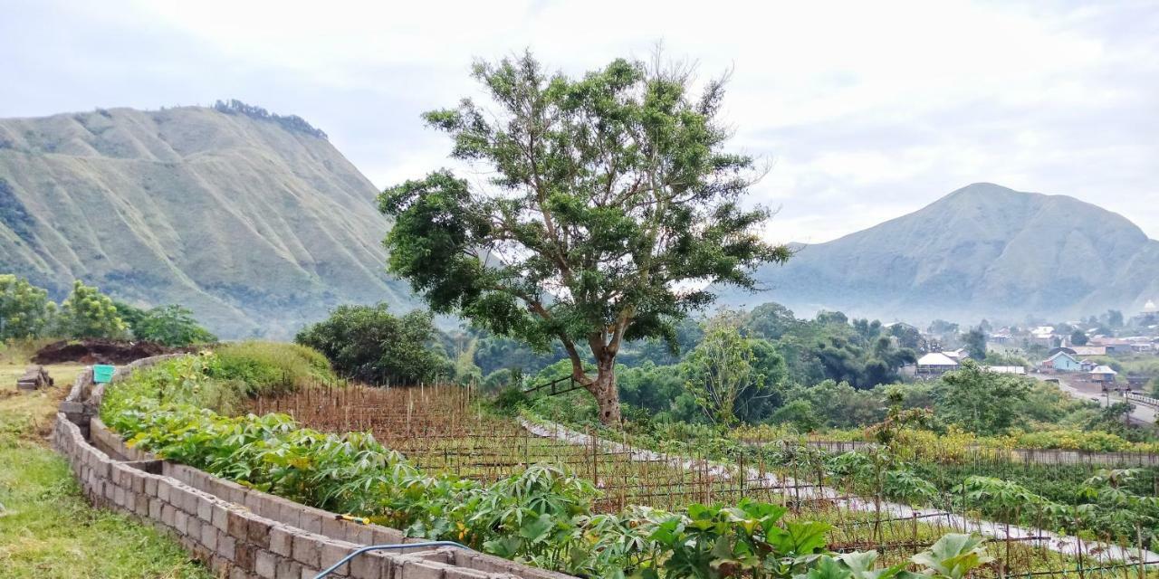 Rinjani Hill Hotel 塞姆博伦拉旺 外观 照片